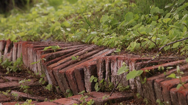 Weg, Pfad, Steine, Pflaster, Grün, Natur