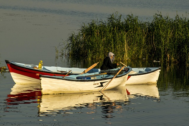Barco, Naturaleza, Río, Hierbas, Cielo
