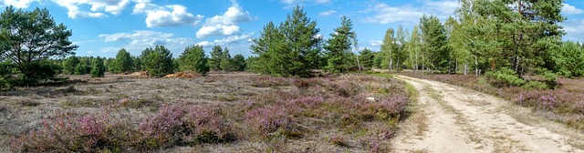 Free Brandenburg Pagan photo and picture