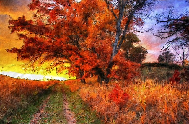 Free autumn walks outdoor autumn illustration