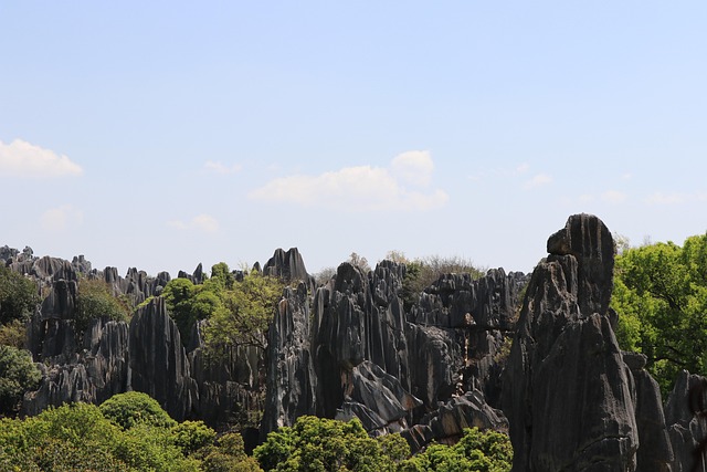 Free Stone Forest Stone photo and picture