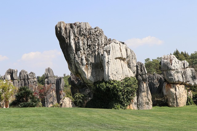 Free Stone Forest Nature photo and picture
