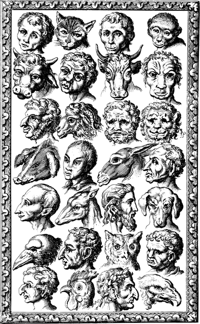 Free humans animals alike vector