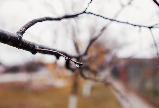 Free Water Liquid photo and picture