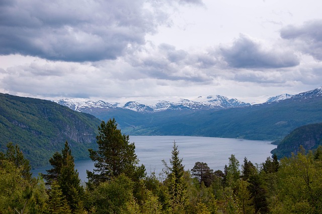 Free Fjord Water photo and picture