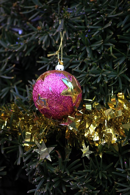 Free Christmas Tree photo and picture