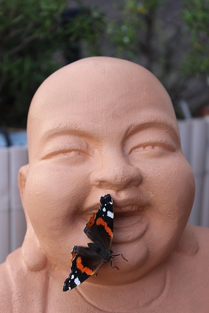 Free Butterfly Buddha photo and picture