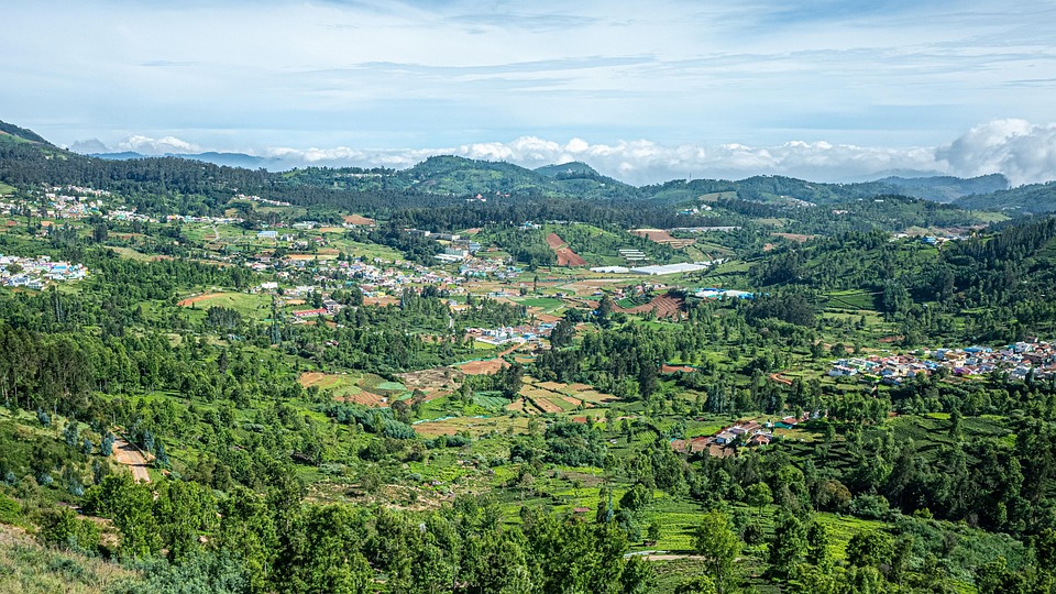 Ooty Honeymoon Packages