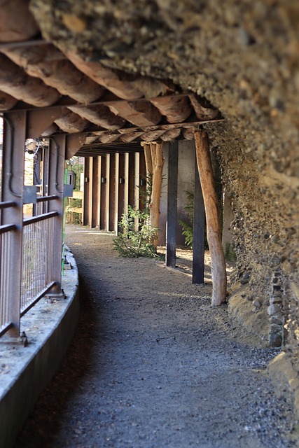 Free Path Trail photo and picture