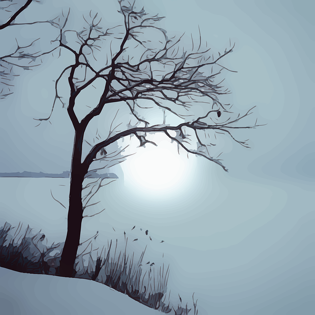 Free tree frozen frost vector