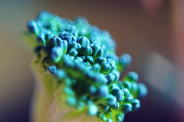 Free Broccoli Close-Up photo and picture