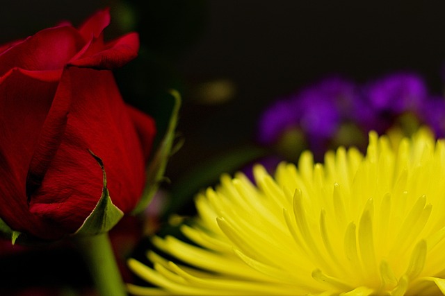 Free Flowers Bouquet photo and picture