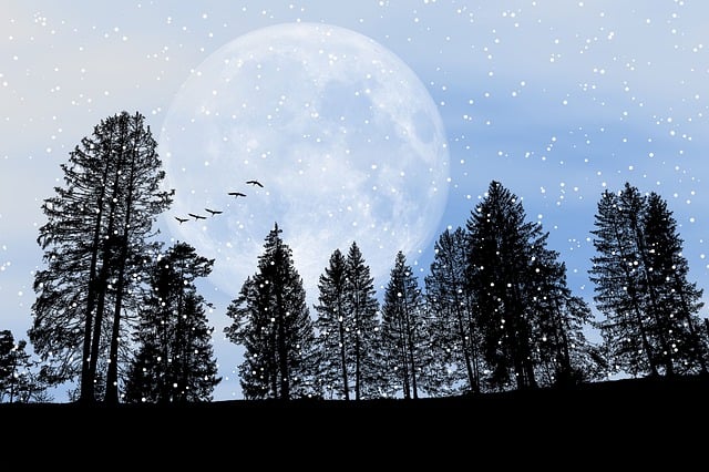 Free cold winter snow illustration