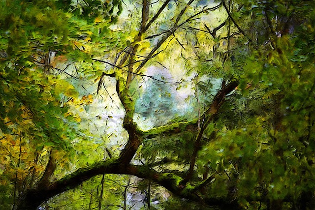 Free tree leaves outdoor plant illustration
