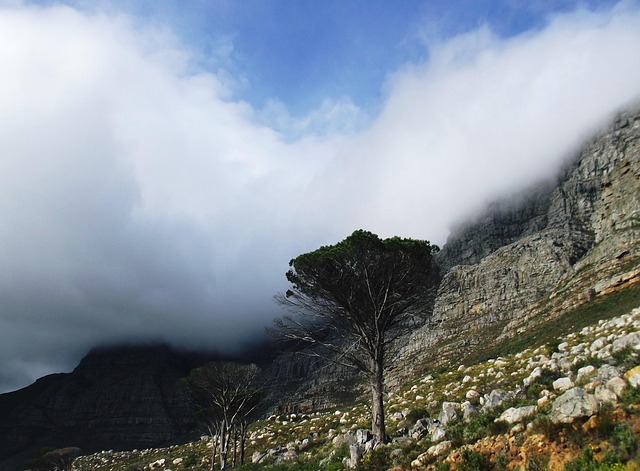 Free Table Mountain Cape Town photo and picture