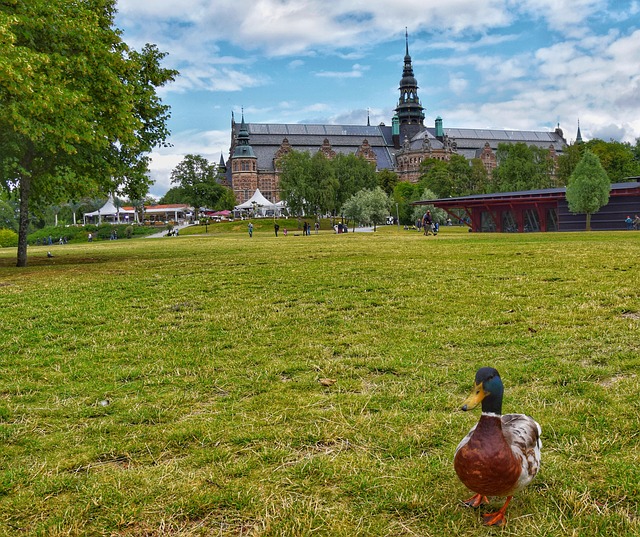 Free Sweden Stockholm photo and picture