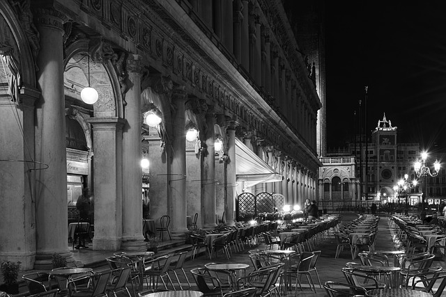 Free White Black Venice photo and picture