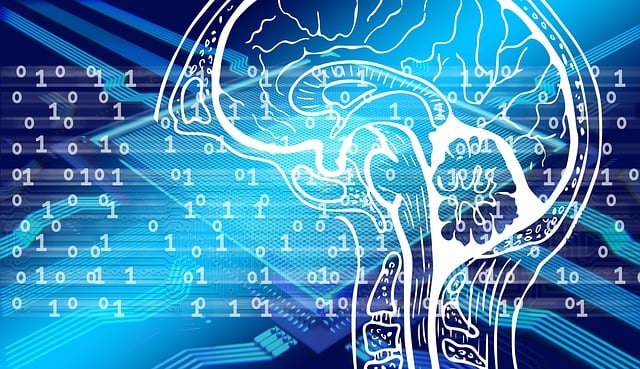 Free brain binary digital illustration