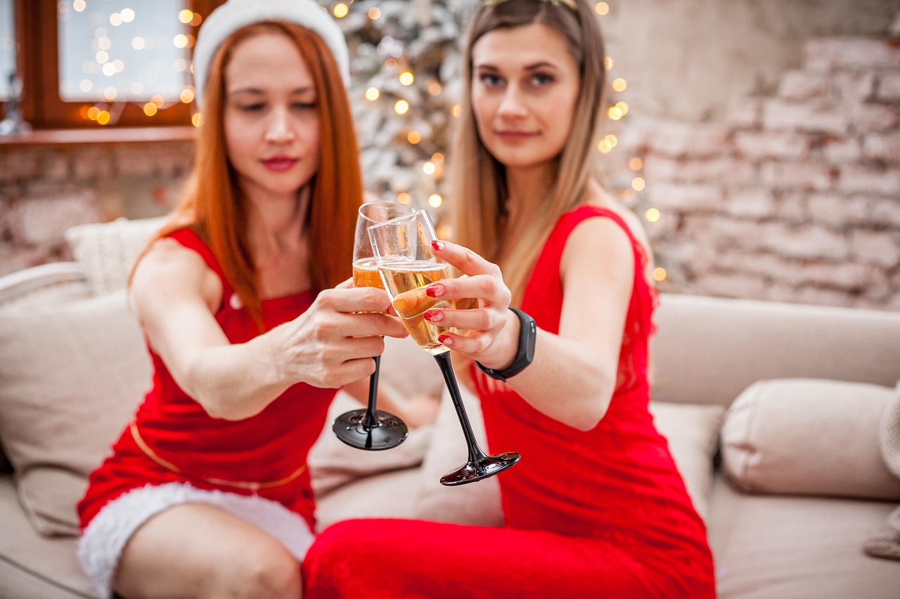 Holiday Toast Girlfriends Free photo on Pixabay Pixabay