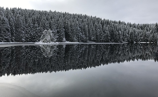 Free Winter Nature photo and picture