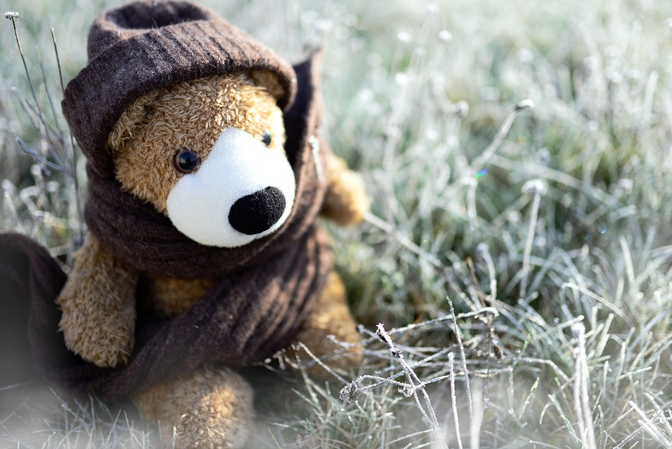 Teddy Bear Toy Cuddly - Free photo on Pixabay