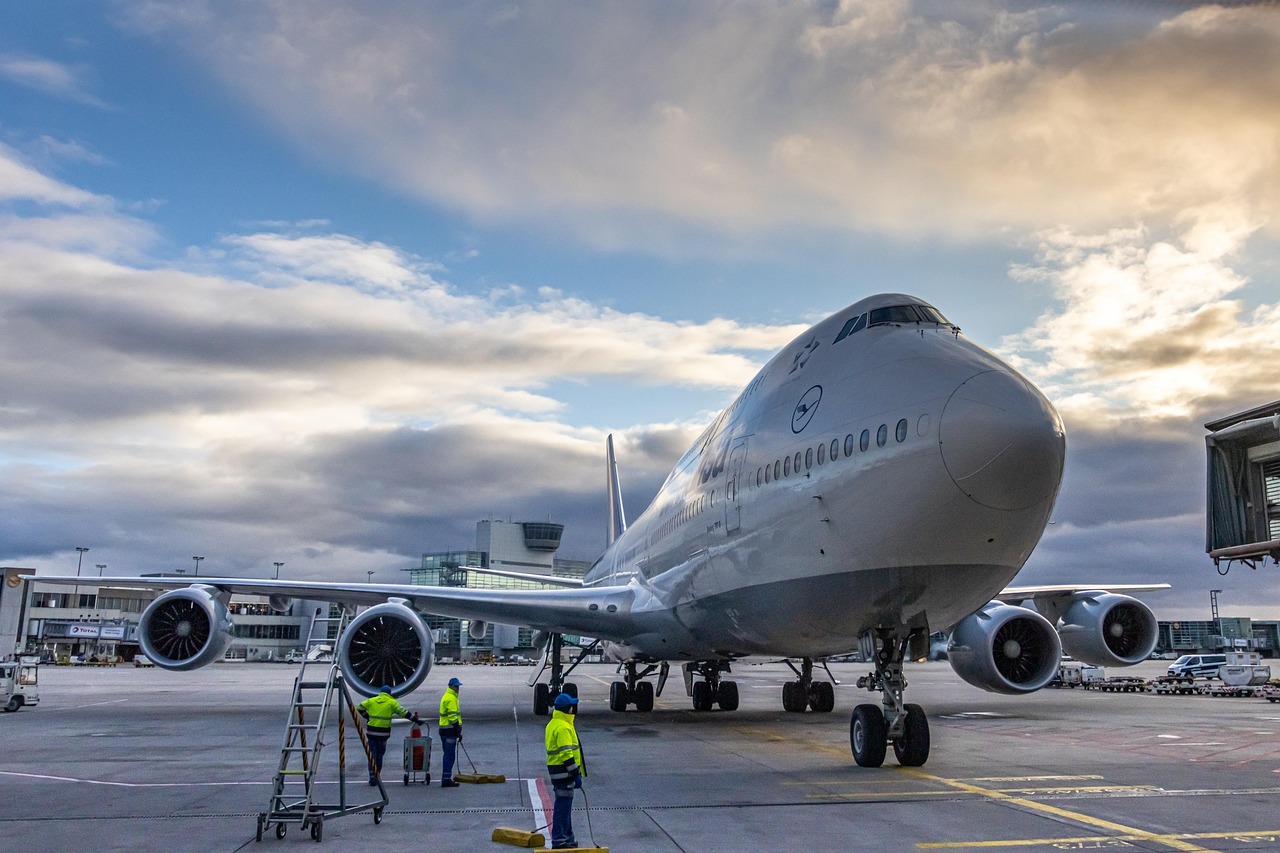 Flying - free online jigsaw puzzle photo