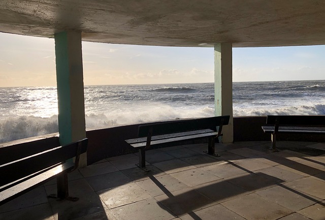 Free Waves Sea photo and picture