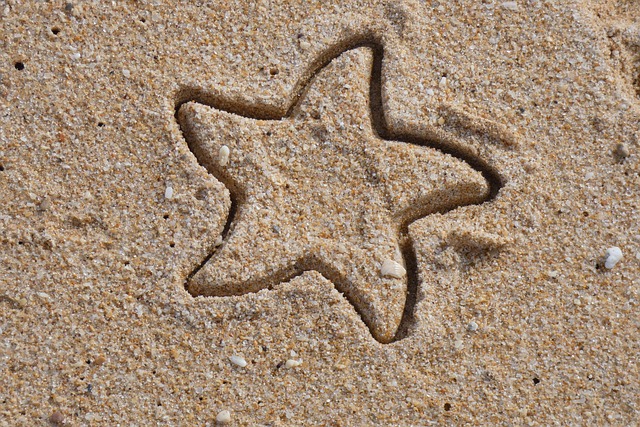 Estrela Do Mar, Forma De Estrela, Praia