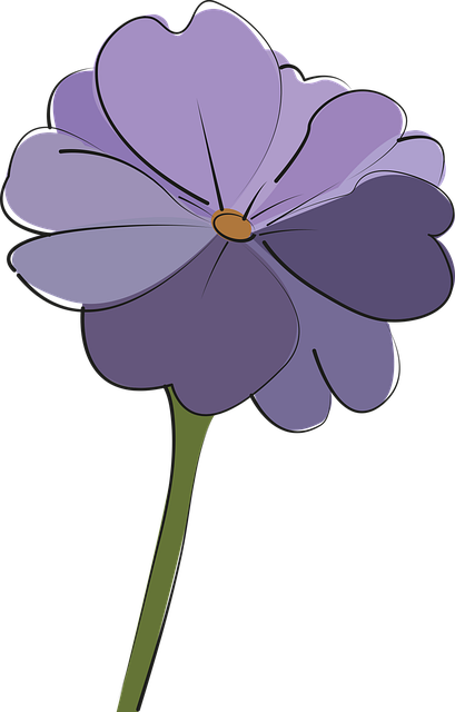 Free primrose flower background flower wallpaper illustration