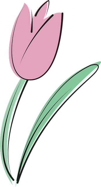 Free tulip summer bloom illustration