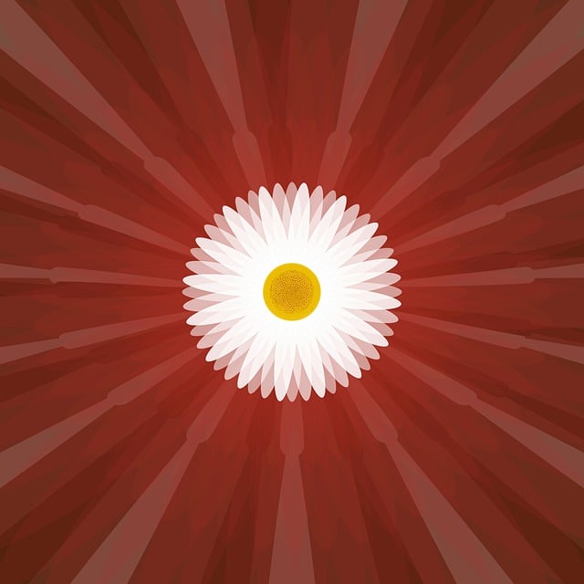 Free common lawn daisy lunisolar theme new topstar2020 illustration