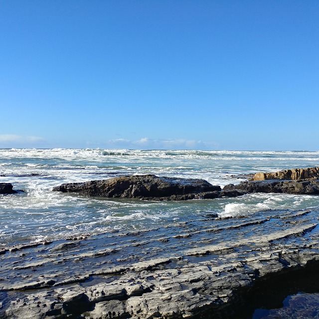 Free Waves Ocean photo and picture