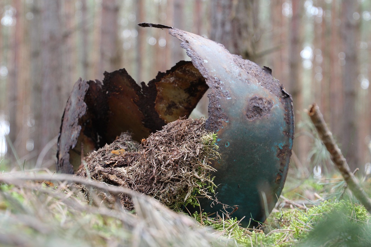 Bucket Rust Forest Free photo on Pixabay Pixabay