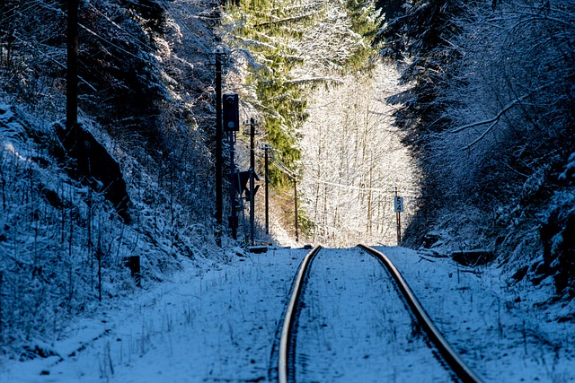 Free Railway Line Tracks photo and picture