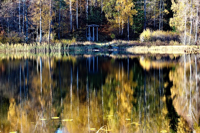 Free Lake Water photo and picture
