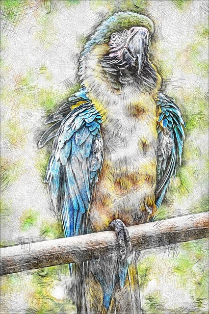 Animal, Papagal, Pădure Tropicală