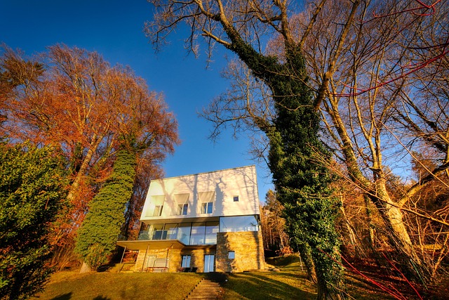 villa, nature, bauhaus, garden, park, residence, building, dream home