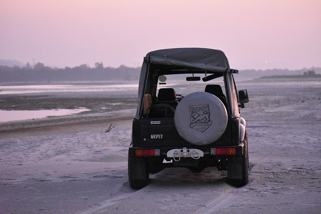 Free Off Road India photo and picture