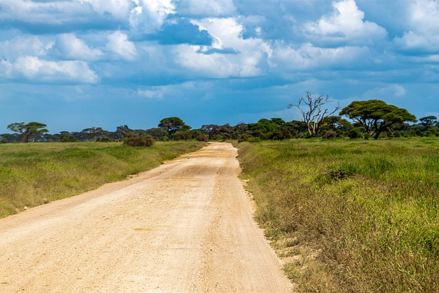Free Amboseli National Park Landscape photo and picture