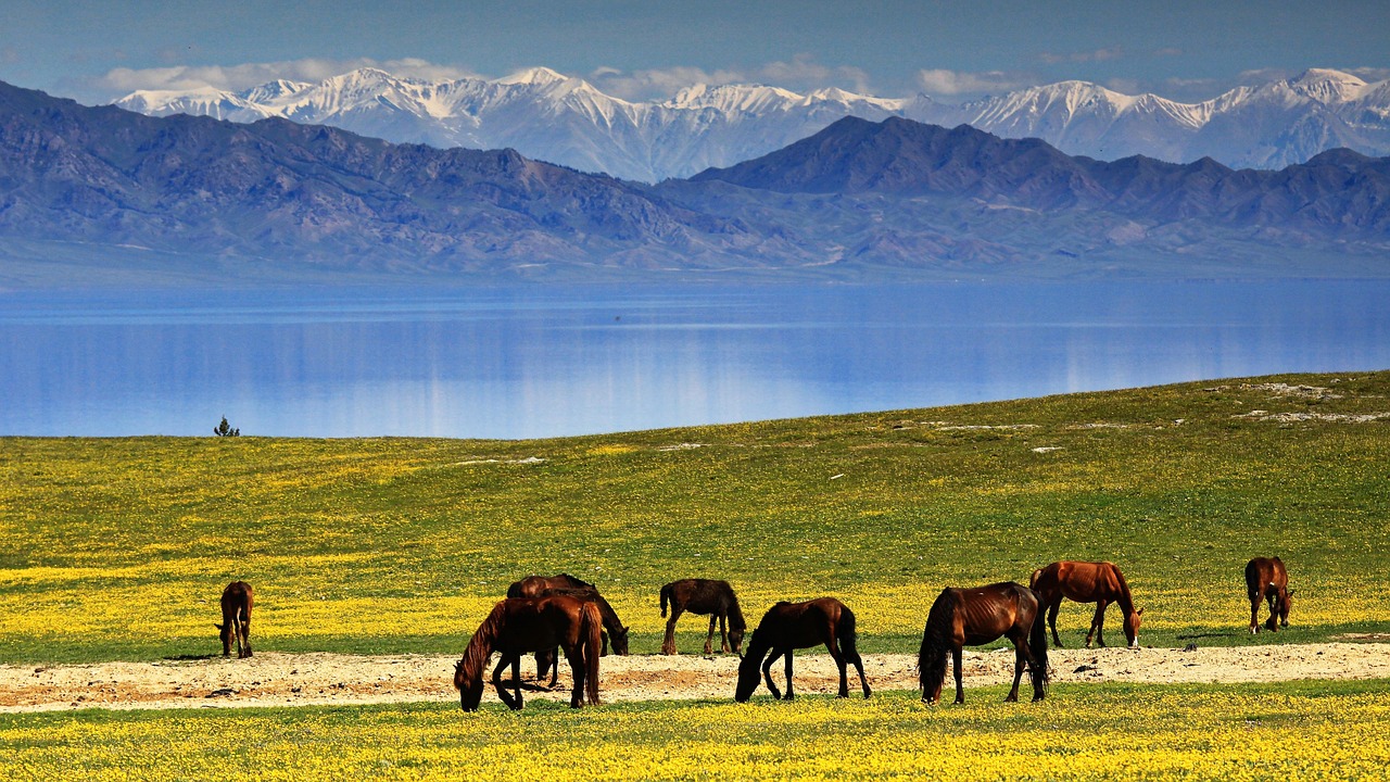 Horse, Lakes, Landscape Horse, Lakes, Landscape