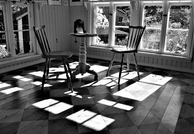 Free Sunlight Shadows photo and picture