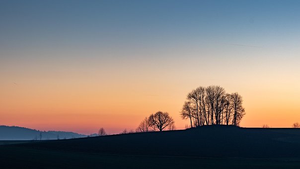 Pôr Do Sol, Arvores, Panorama, Natureza