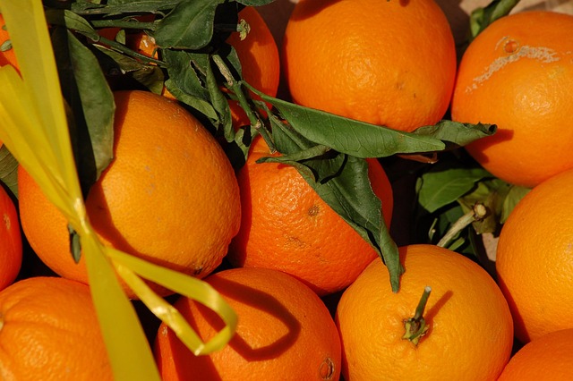 Free Oranges Citrus Fruits photo and picture