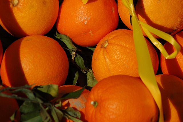 Free Oranges Citrus Fruits photo and picture