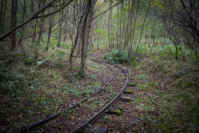 Free Abandoned Railway photo and picture