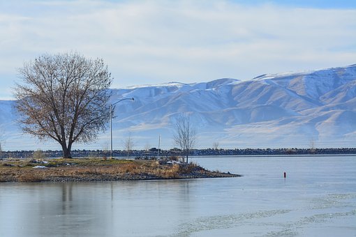 Berg, Meer, Boom, Winter, Koud, Water