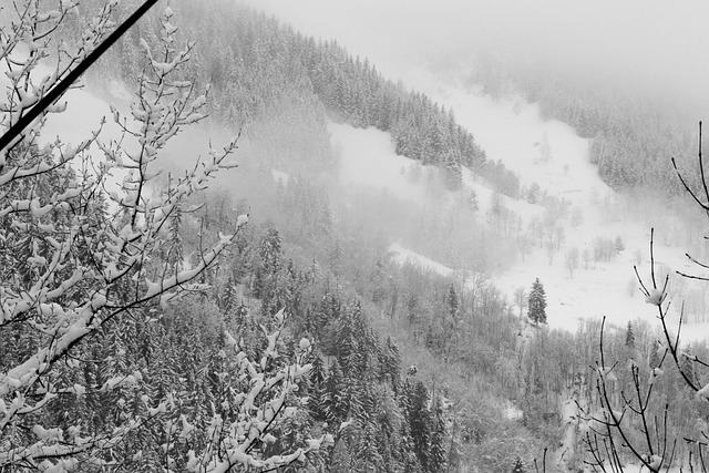 Free Sainte Foy Tarentaise photo and picture