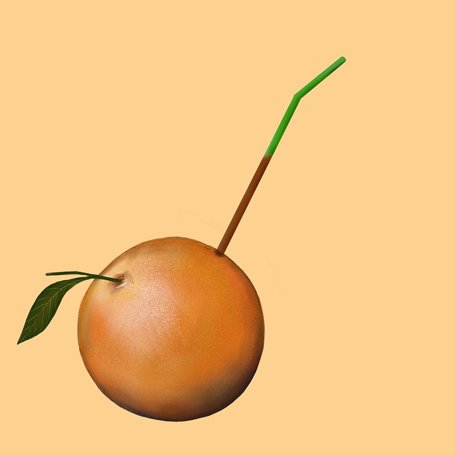 Free fresh juice grapefruit illustration