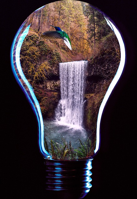 Free Bulb Birds photo and picture