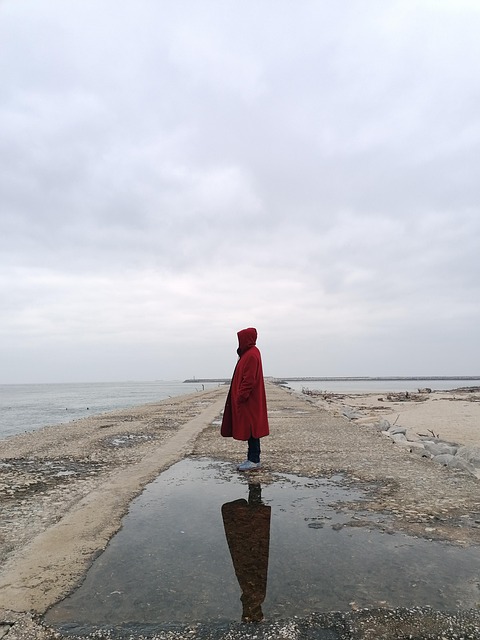 Rojo, Capucha, Niña, Fantasía, Mujer